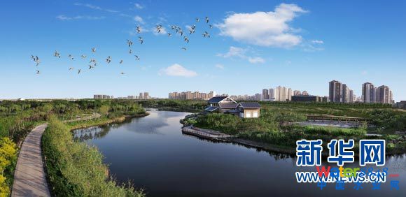 生態(tài)城部分建筑鳥(niǎo)瞰圖