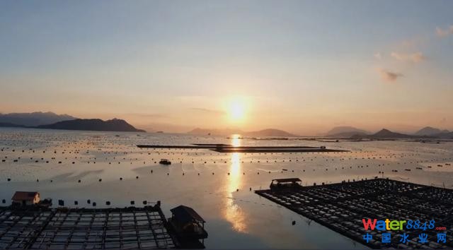 廣西衛(wèi)視對(duì)話(huà)中國(guó)工程院院士高從堦:廣西海洋經(jīng)濟(jì)大有可為